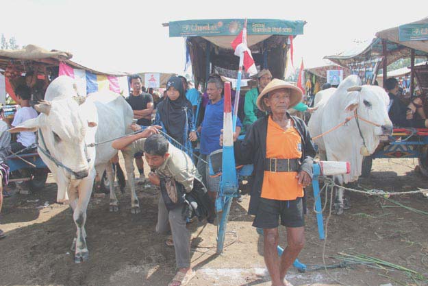 Profil gerobak sapi milik Wiro Senjoyo, difoto: Minggu, 16 Juni 2013, foto: a.sartono