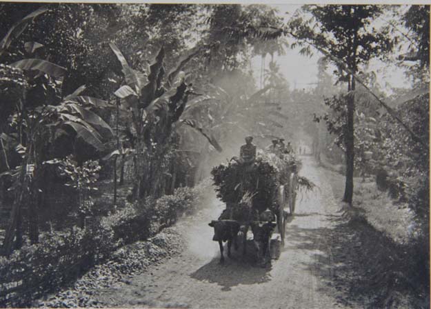 Jalan Tanah dan Gerobak di Jawa Dekade 1930-an