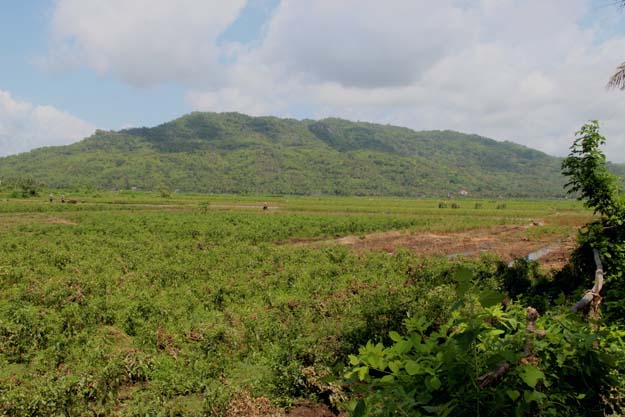 deretan bukit di Parangtritis dilihat dari arah Depok, Kretek, Bantul, difoto tanggal 20 November 2012, foto: a. sartono